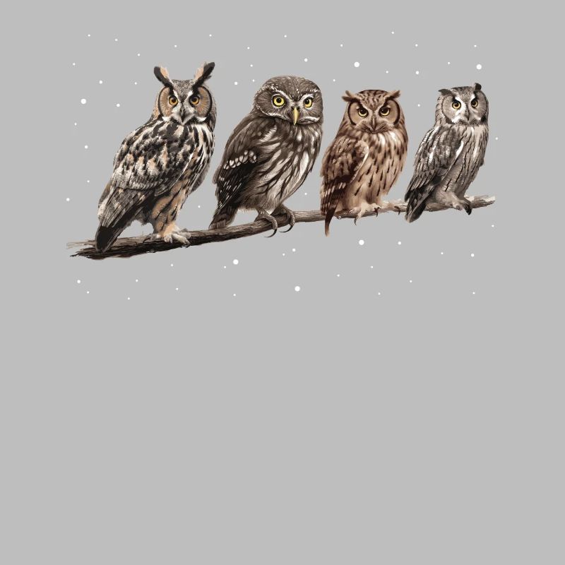 Nachteule Eule Eulen Vogel