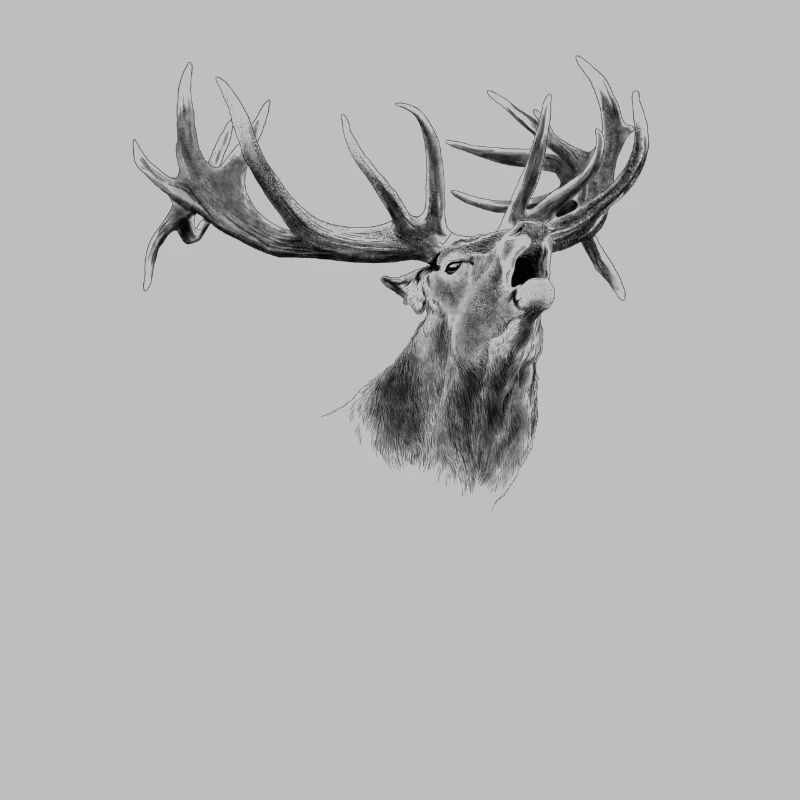 Hirsch
