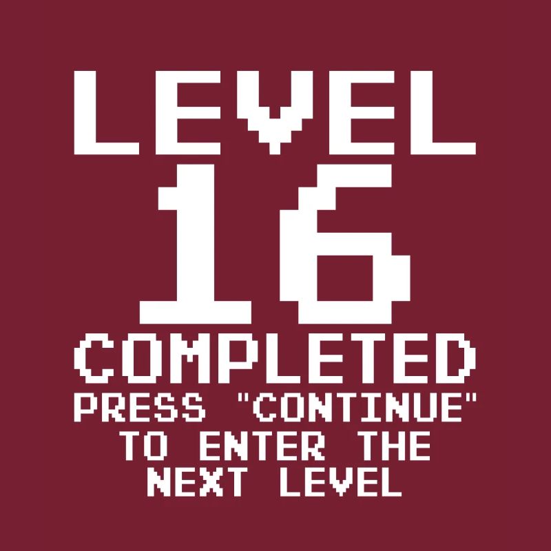 Niveau 16 Joueur complet Gamer 16 ans