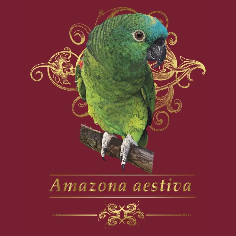 L’amazone à front bleu