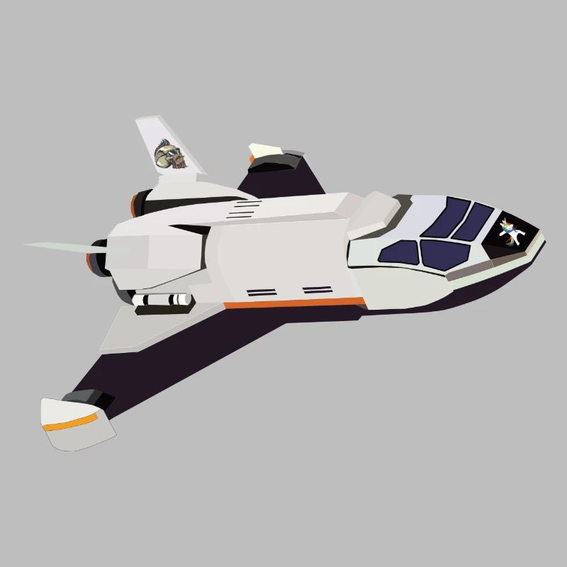 Vol de la navette spatiale