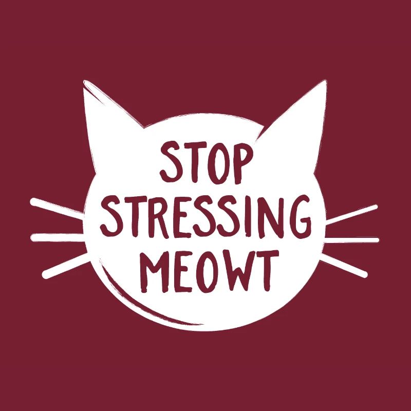 Arrêtez de stresser Meowt - Chat