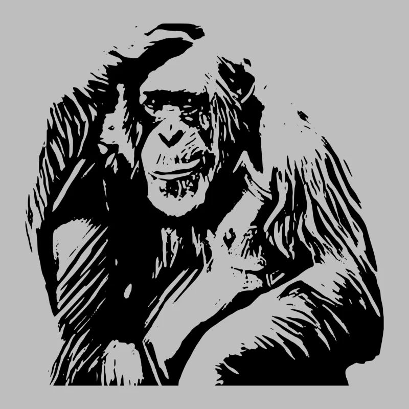 chimp
