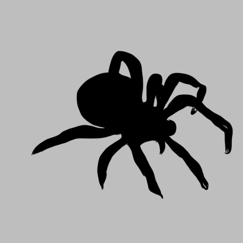 Araignée