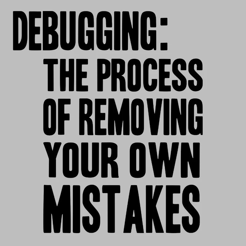 debugging process