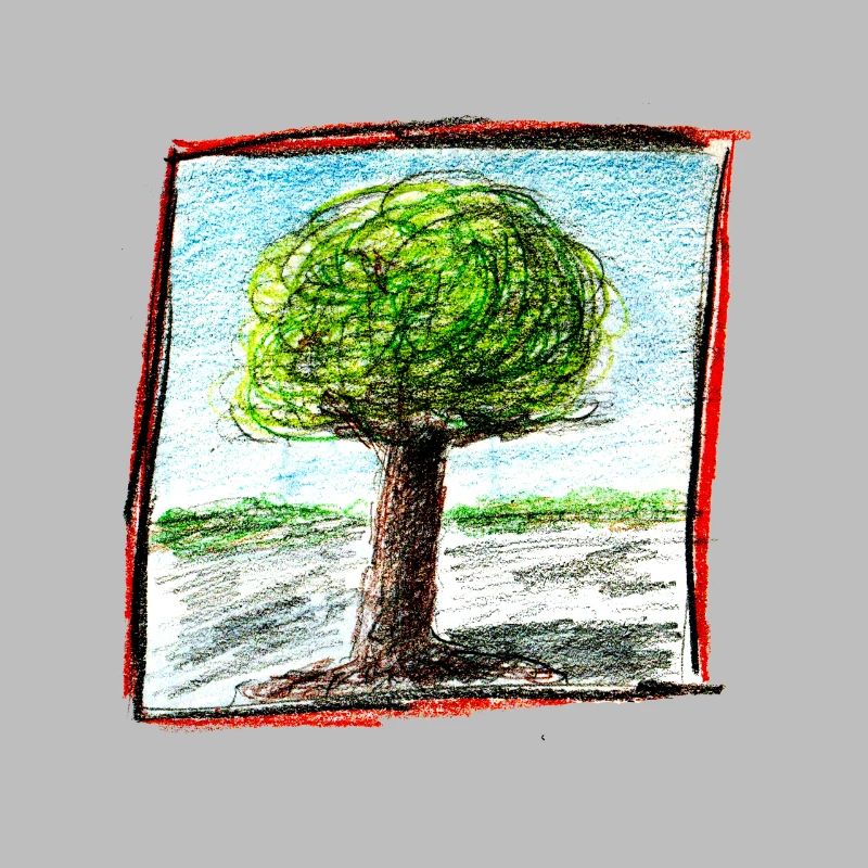 baum 1