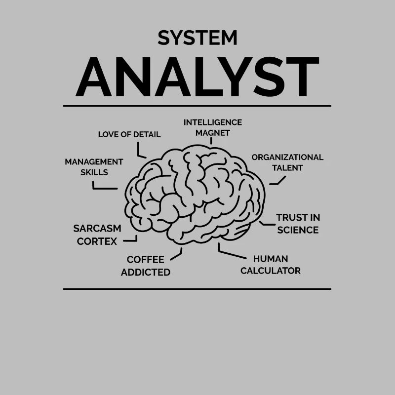 Analyste de systèmes
