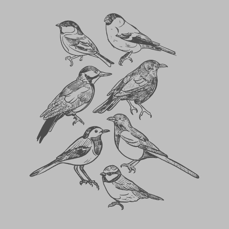 Oiseau à la main dessiné Oiseaux