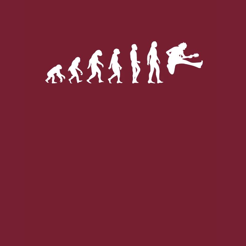 evolution gitarre