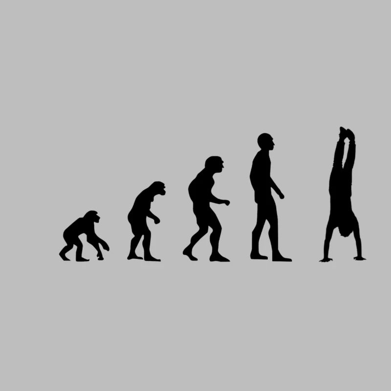 Poirier Evolution