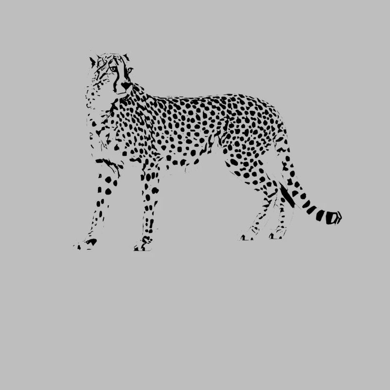 guépard