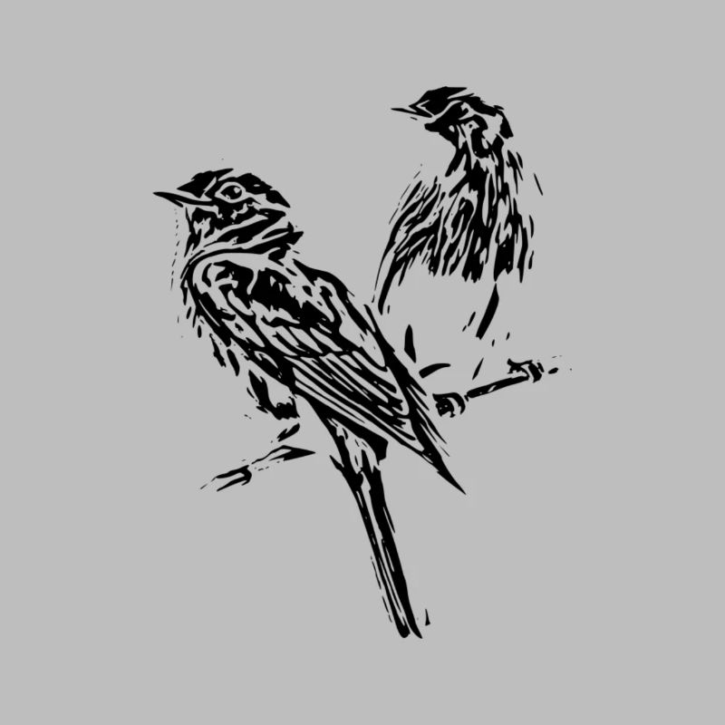 Oiseaux