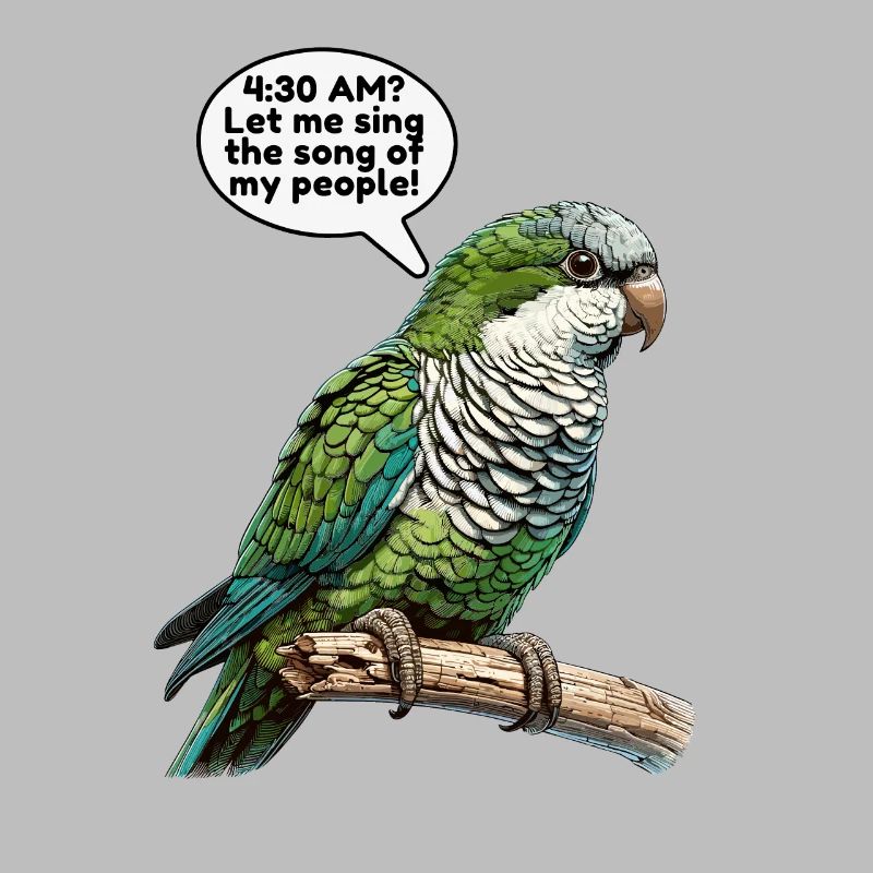 Quaker Parrot Monk Parakeet