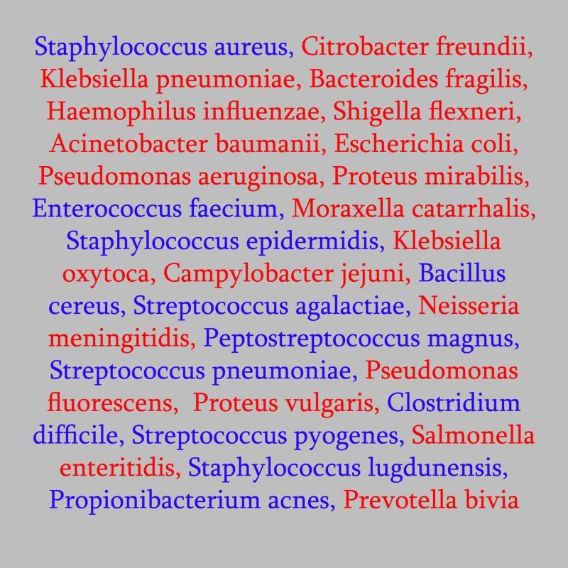 Liste des bactéries
