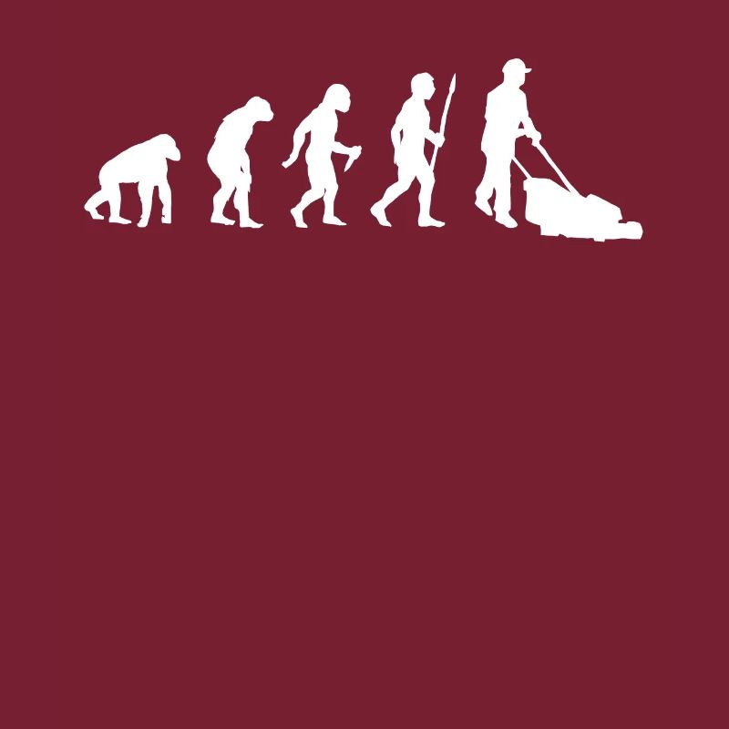 Evolution tondeuse
