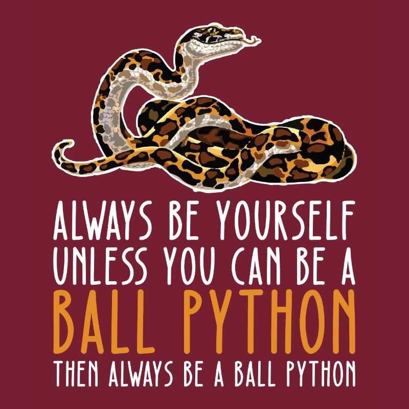 Soyez vous-même – King Python