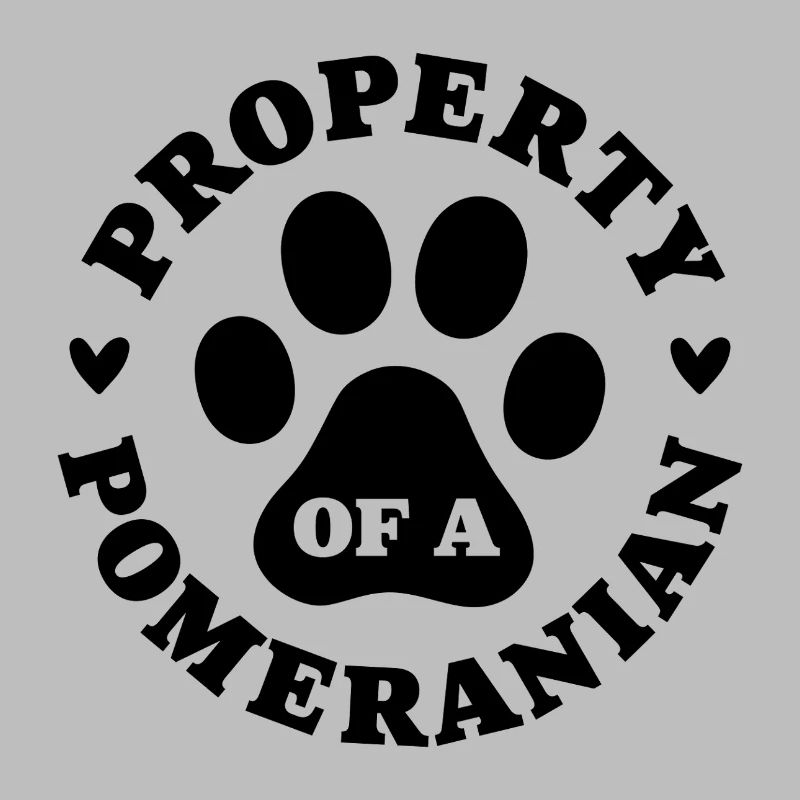 Eigentum eines Zwergspitzs