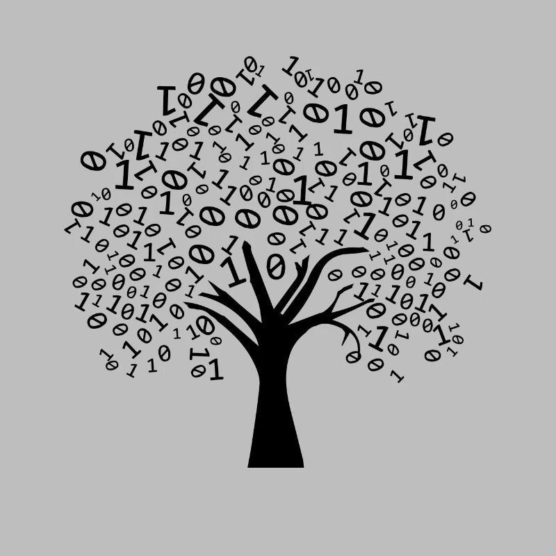 Programmierer Binärer Baum
