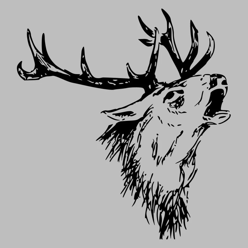Hirsch