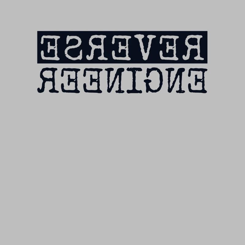 Reverse Engineer Software Engineer Developer