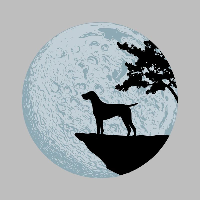 German shorthaired pointer