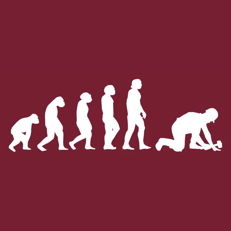 Evolution Pflasterer