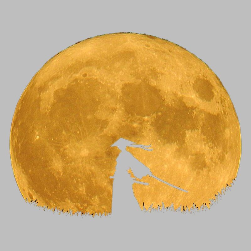 samouraï