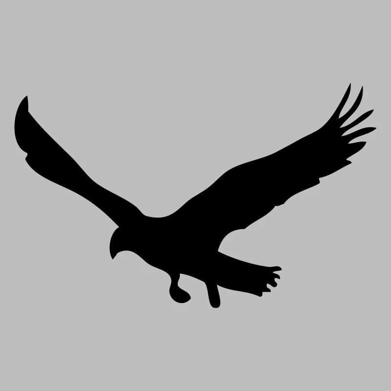 aigle