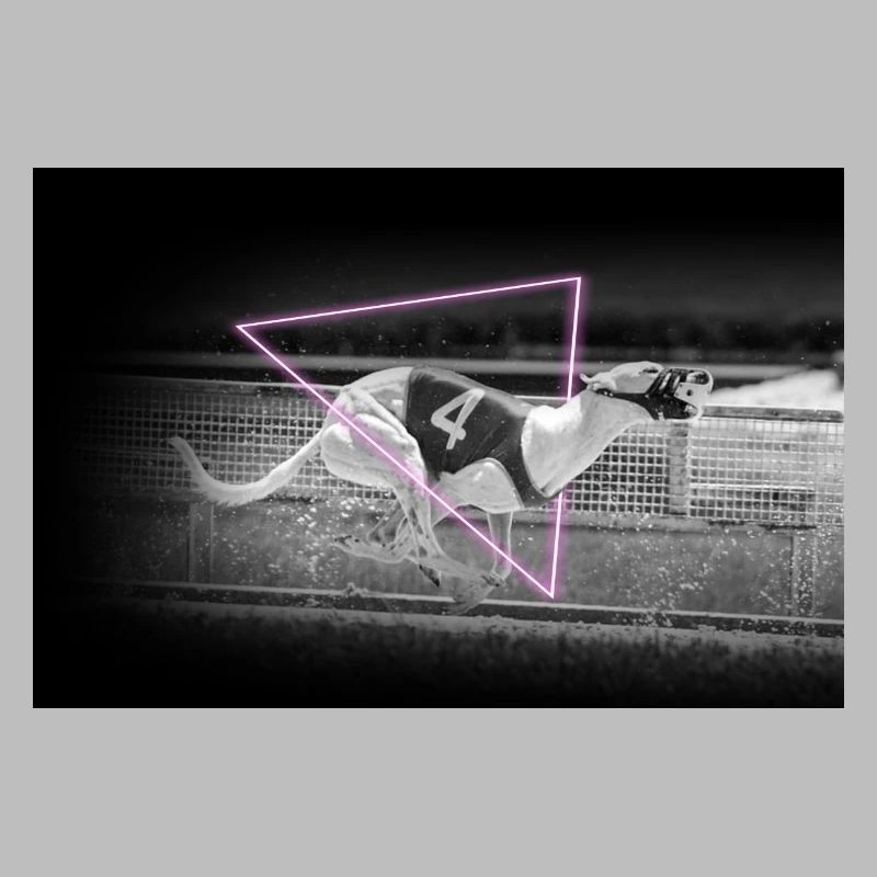 Racing Greyhound Mid Sprint en triangle néon