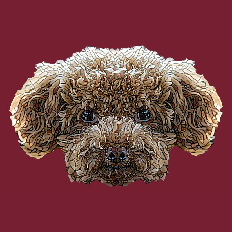 Visage de caniche jouet