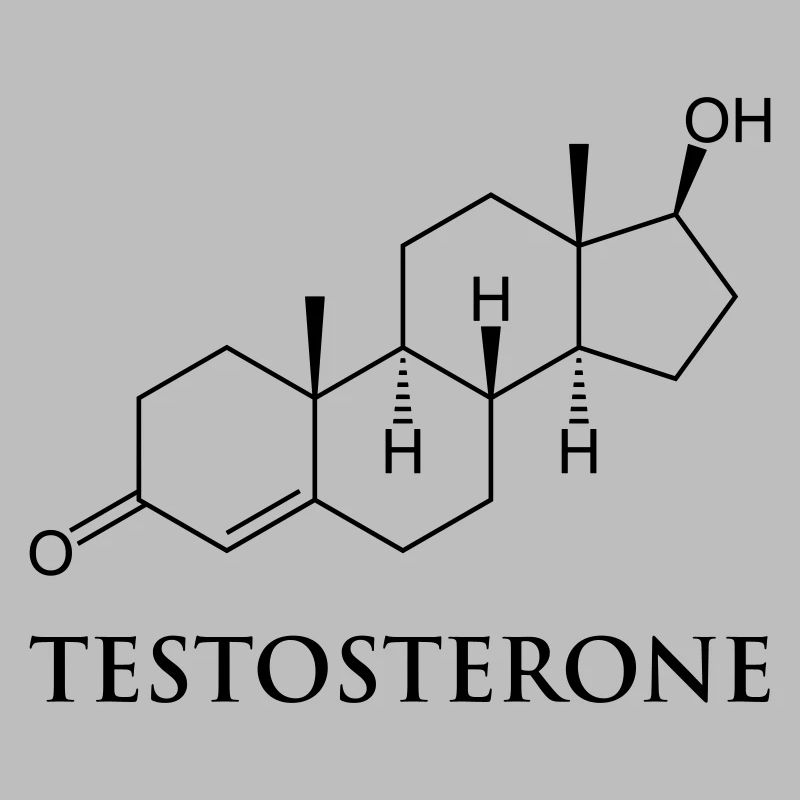 testostérone