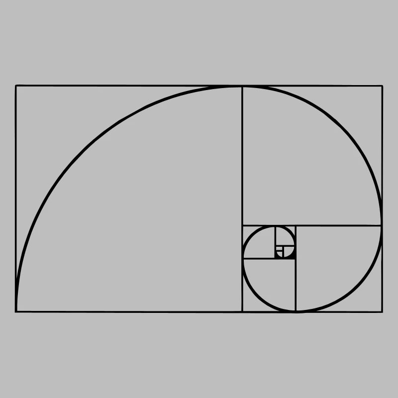 Spirale de Fibonacci, section doré, Phi, evolution