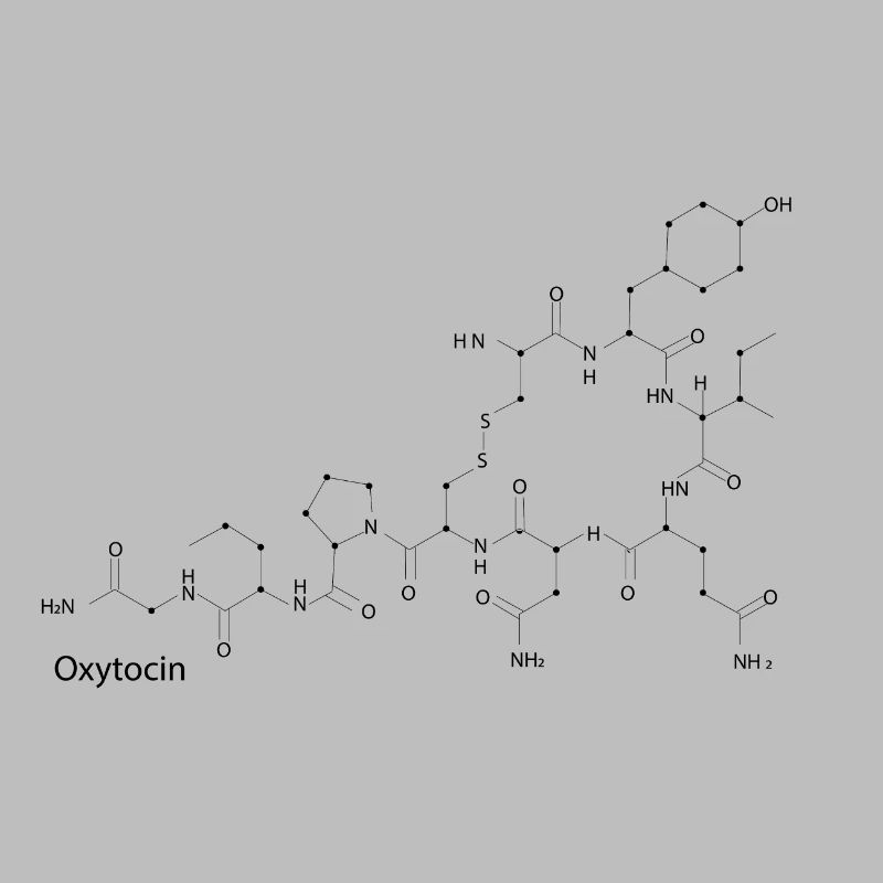 Formule développée de l'ocytocine