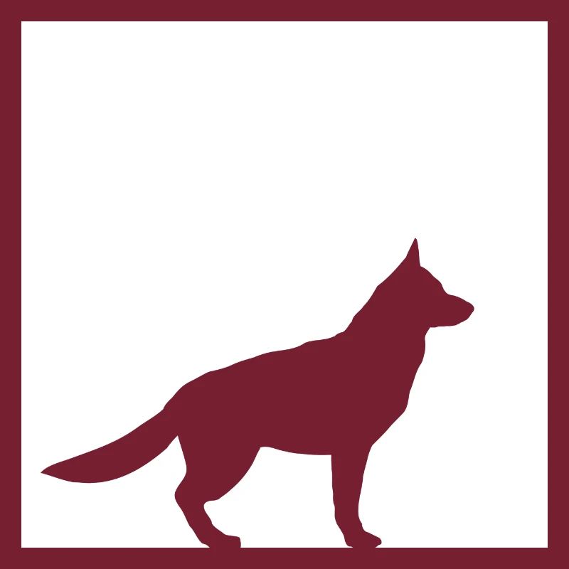 Schäferhund