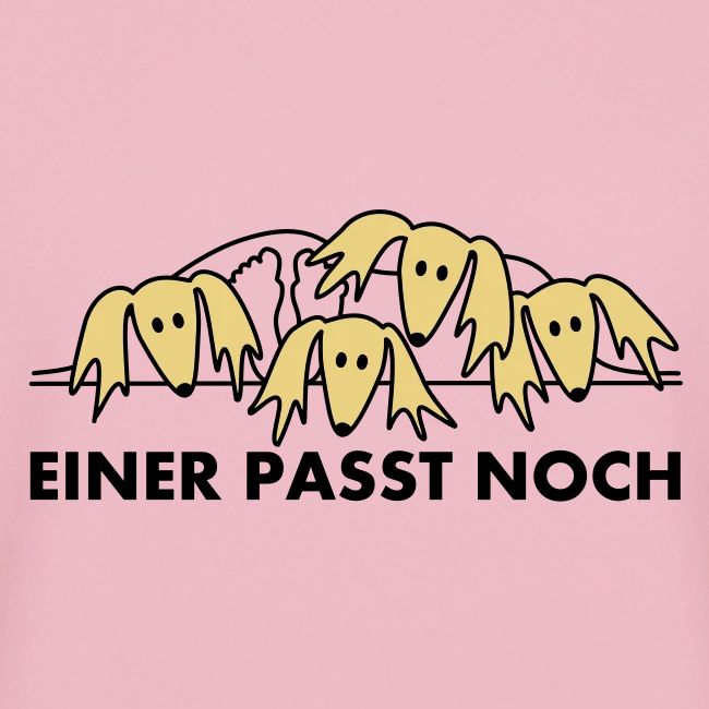 Salukis, einer paßt noch