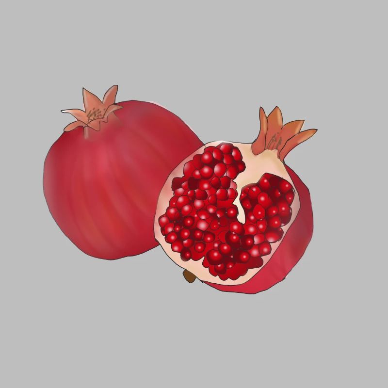 Pomegranate graphic logo fruit fruit drawing