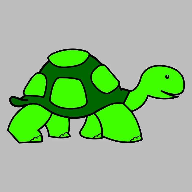turtle