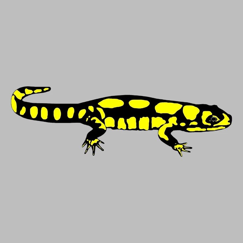 Salamander