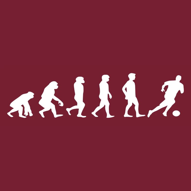 Fussball evolution