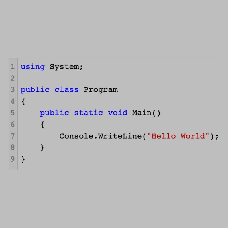 C# .NET Code Hello World Programmierer Geschenk