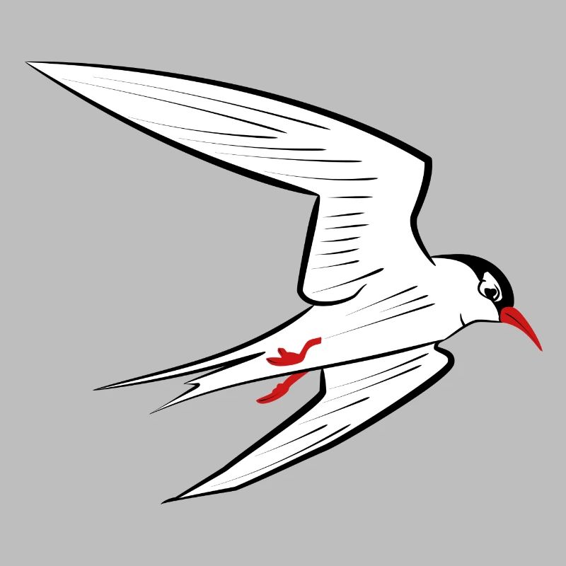 Seeschwalbe