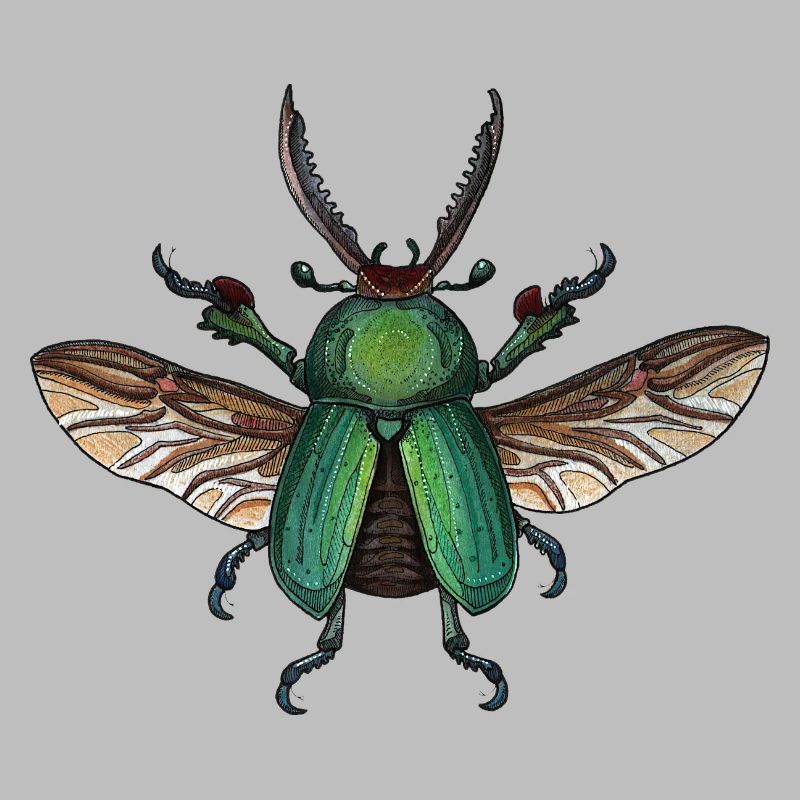 Big Green Beetle - coléoptère vert géant