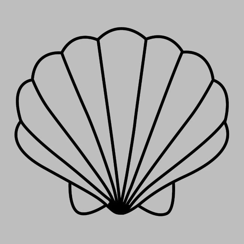 shell