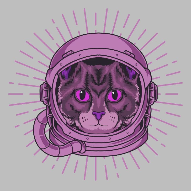 Chat de l’espace