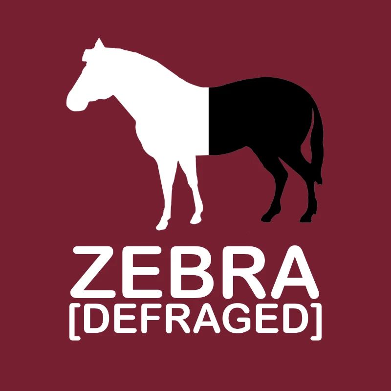 Zebra [defraged] | IT | Computer | Nerd | Geek