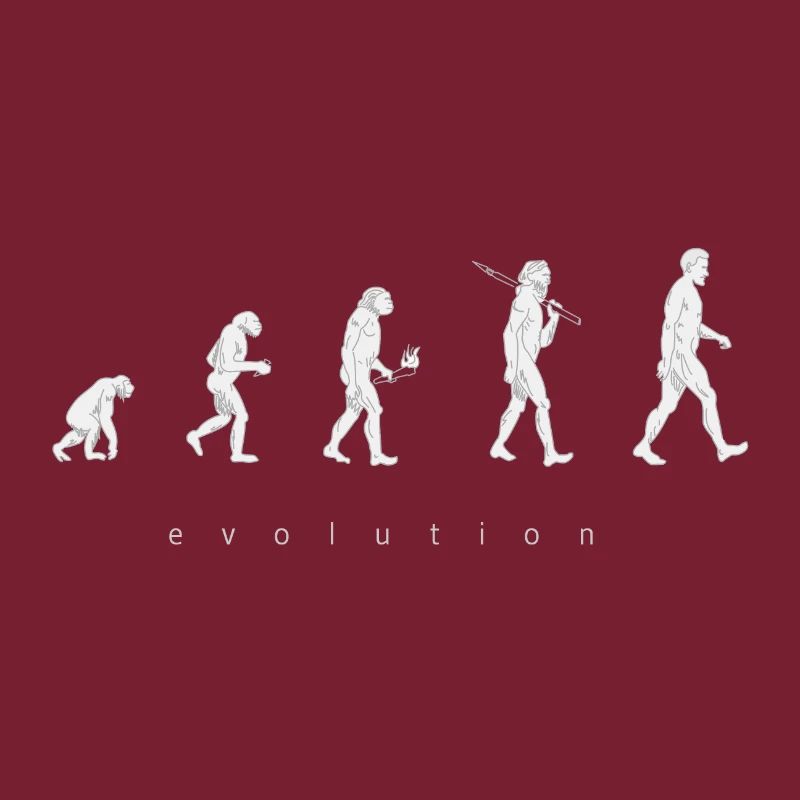 Human evolution