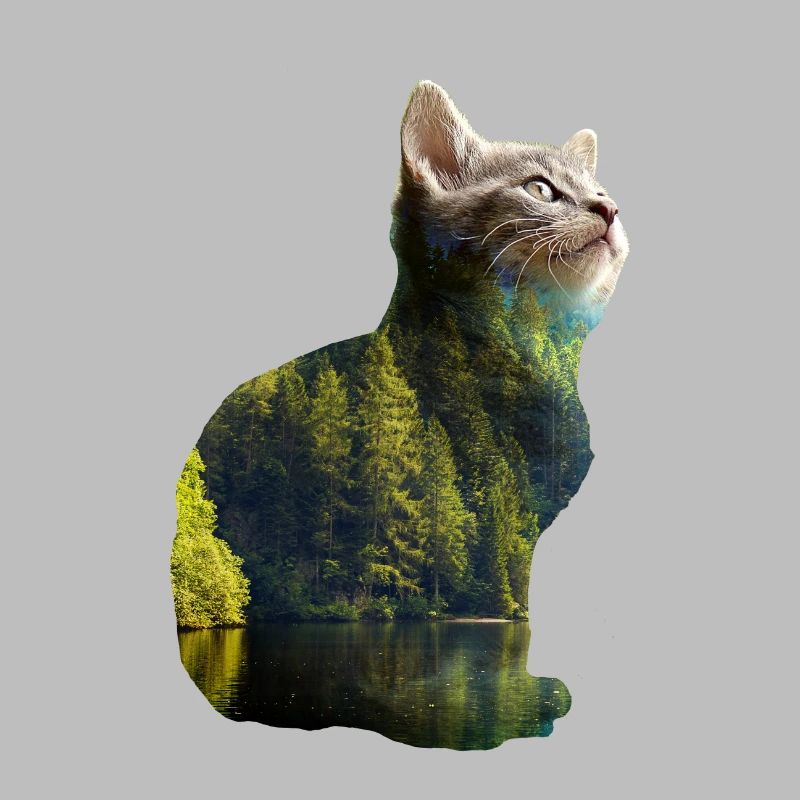 Double Exposure Animals Cat Nature - Gift Idea