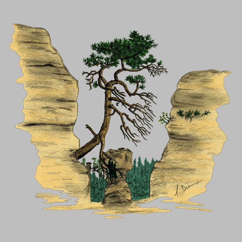 Montagnes de grès de l’Elbe