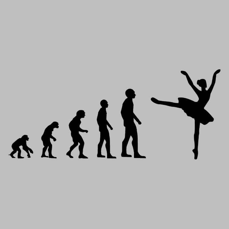 Ballerine Ballet Evolution