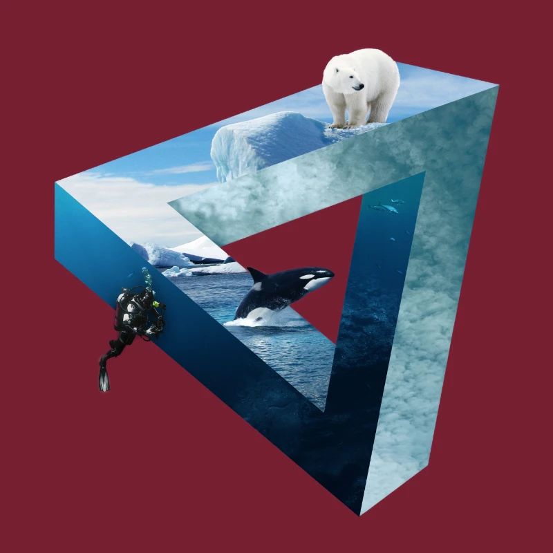 Arctic Ocean